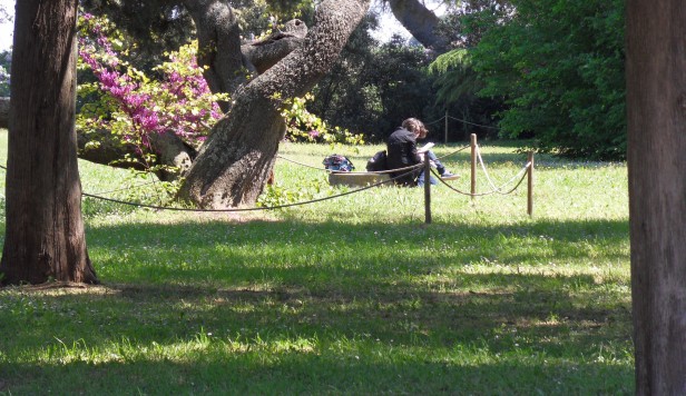 SAMSUNG DIGITAL CAMERA