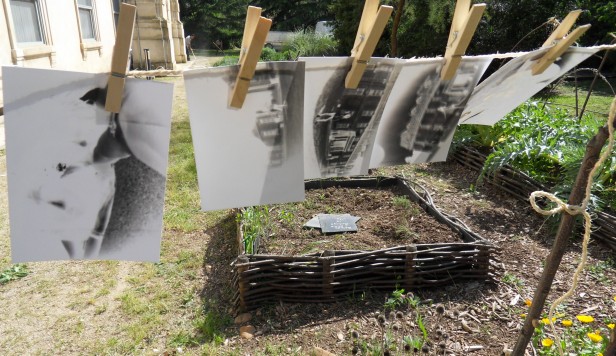 SAMSUNG DIGITAL CAMERA